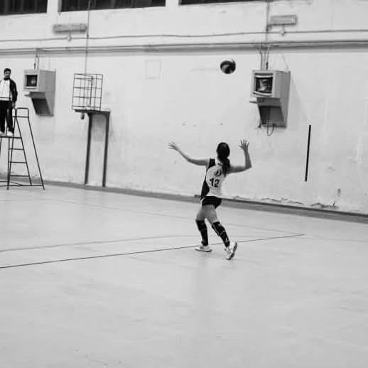 228c16d9 532c 47f0 8530 bb97f9c66f80